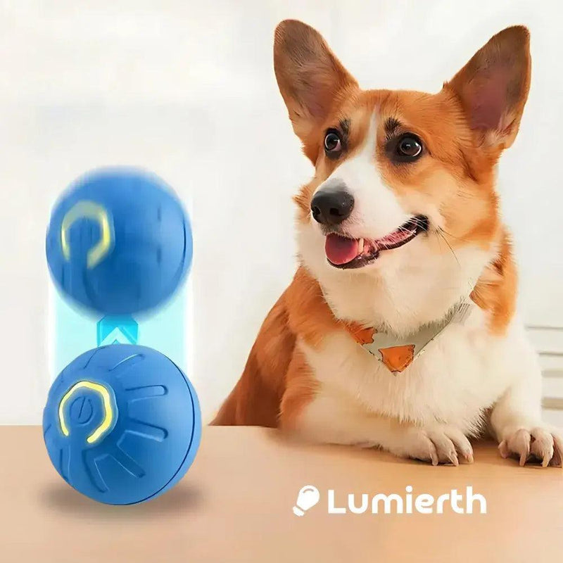 Bola Inteligente de Brinquedo para Cães e Gatos